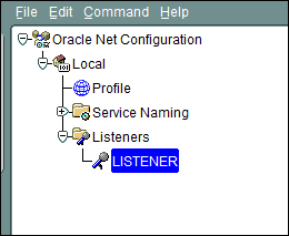 Manually Register database Services in listener | SmartTechWays ...